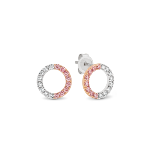 Earrings EDJE023